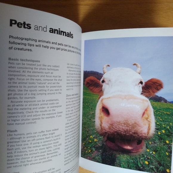 The Digital Photography Handbook - Picture 4 of 4